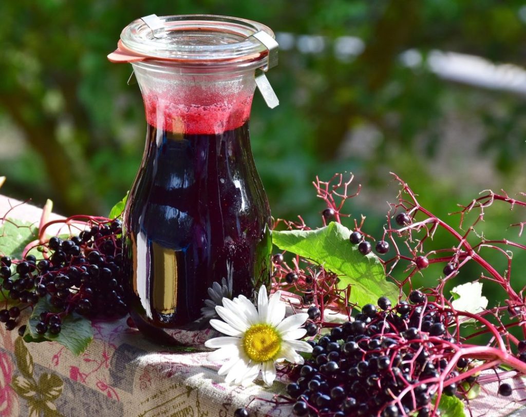 Holunderbeeren: Superfood zum Nulltarif - essenzielles