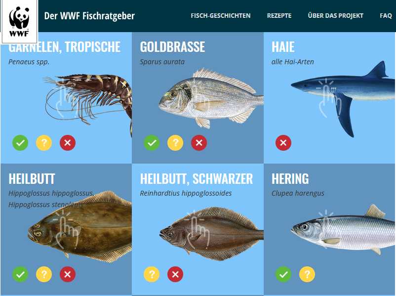 Fisch nachhaltig einkaufen_essenzielles, abnehmen mit Intervallessen_WWF Fischratgeber