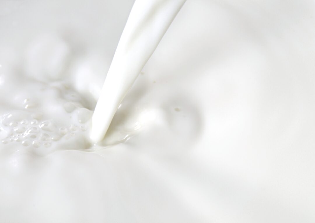 Ist Milch gesund? Vorteile, Nachteile, Fakten - essenzielles, abnehmen mit Intervall-Essen_Trinkmilch