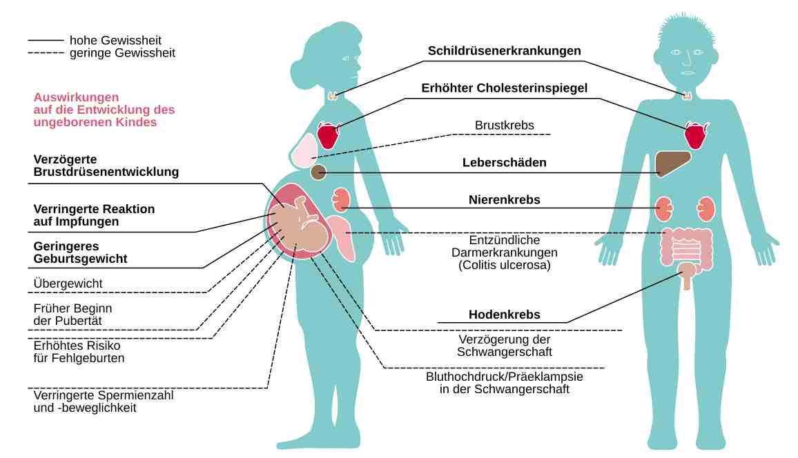 essenzielles_PFAS_Illustration von Auswirkungn auf die Gesundheit